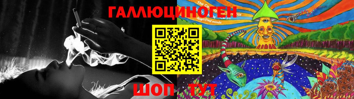 Галлюциногенные грибы Psilocybine cubensis Нурлат